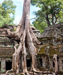 alte Tempelanlage in Angkor Wat: Blickfang-Motive für Zuhause, Praxis, Büro, Hotel - Bildtankstelle.de
