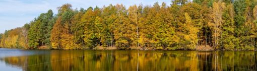 Wald & Wasser, im Herbst eine unwiderstehliche Kombination - Bildtankstelle.de