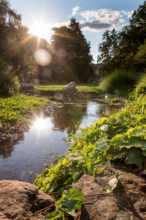 Sommer Im Deutsch Franzosischen Garten Dfg Saarbrucken Saarland