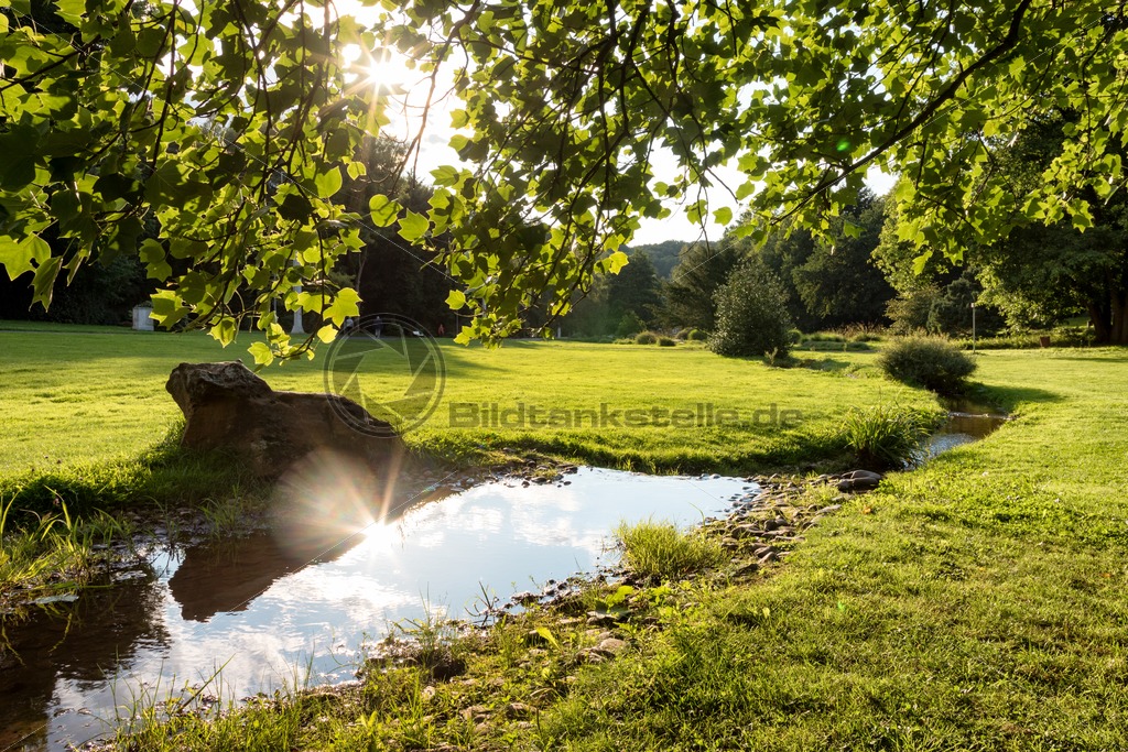 Sommer im DeutschFranzösischen Garten, DFG, Saarbrücken